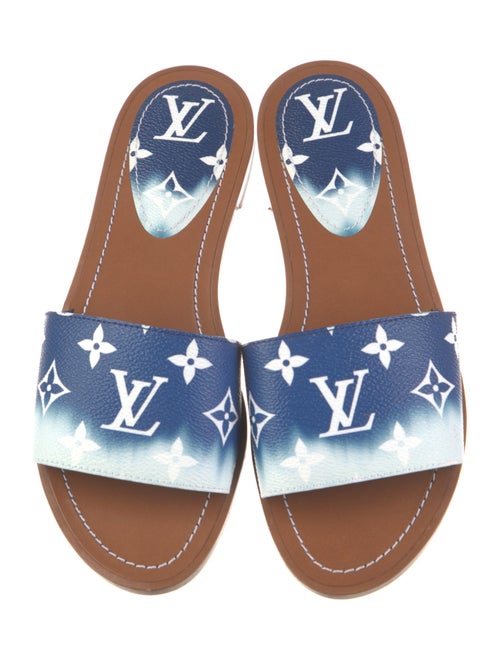 Louis Vuitton Printed Slides