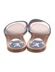 Louis Vuitton Printed Slides