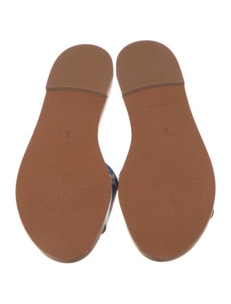 Louis Vuitton Printed Slides