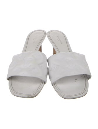 Louis Vuitton LV Monogram Leather Slides