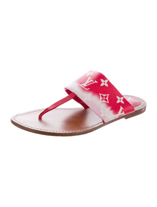 Louis Vuitton LV Monogram Slides