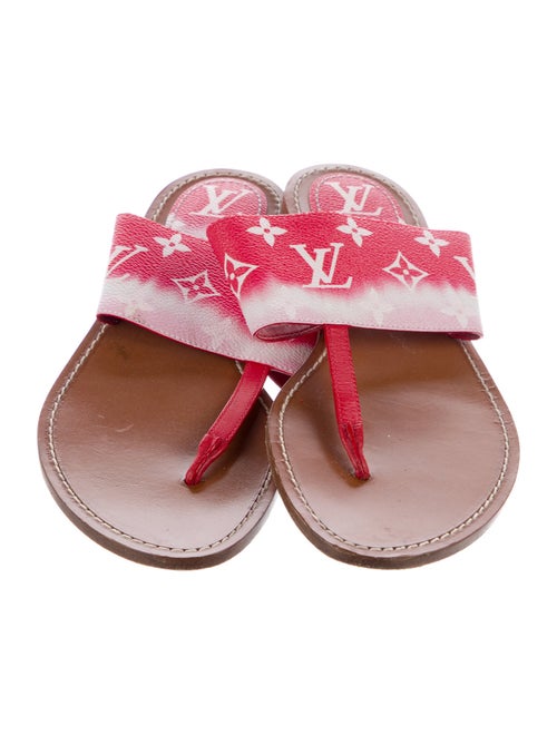 Louis Vuitton LV Monogram Slides