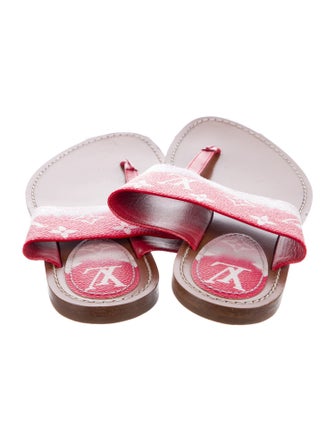 Louis Vuitton LV Monogram Slides