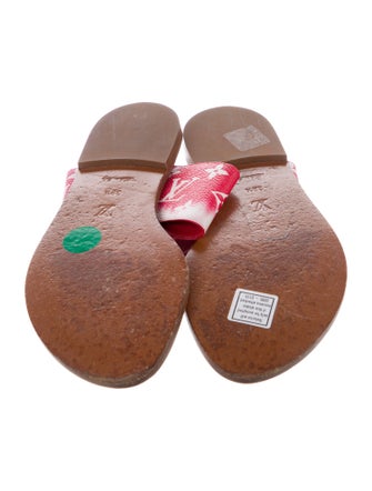 Louis Vuitton LV Monogram Slides
