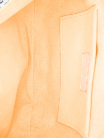 Louis Vuitton LV Monogram Pleaty Mini