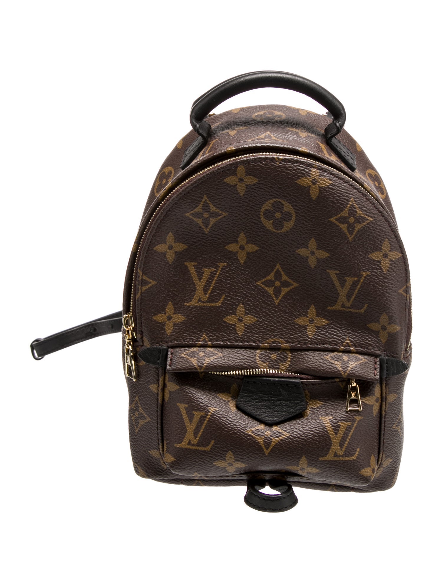 Louis Vuitton LV Monogram Palm Springs Mini