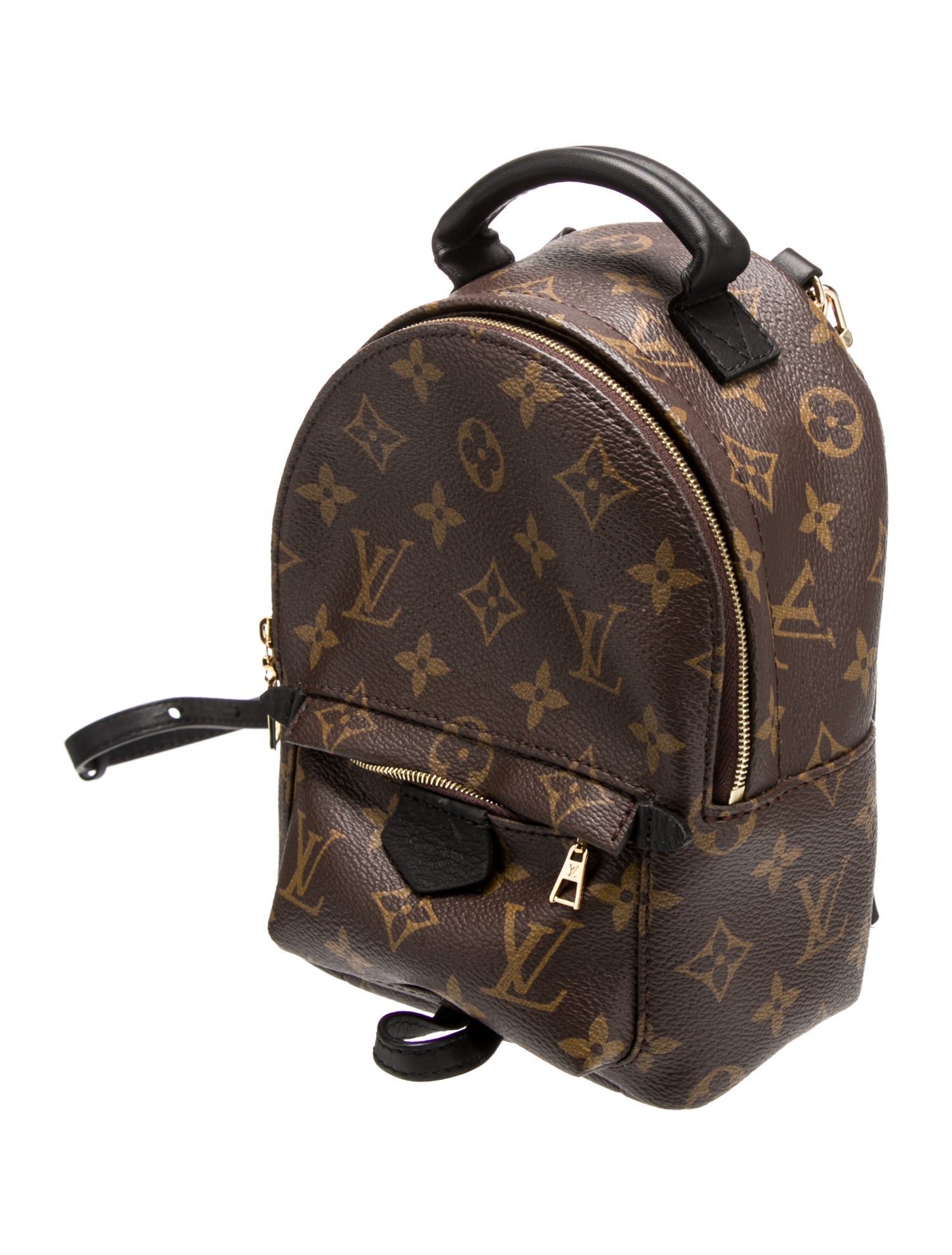 Louis Vuitton LV Monogram Palm Springs Mini