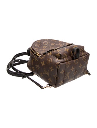 Louis Vuitton LV Monogram Palm Springs Mini
