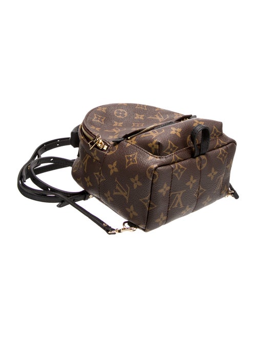 Louis Vuitton LV Monogram Palm Springs Mini