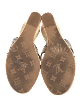 Louis Vuitton LV Monogram Canvas Espadrilles