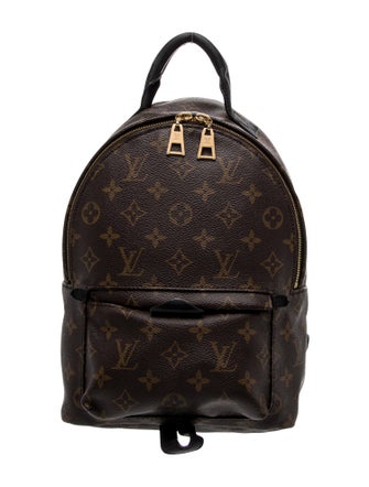 Louis Vuitton LV Monogram Palm Springs