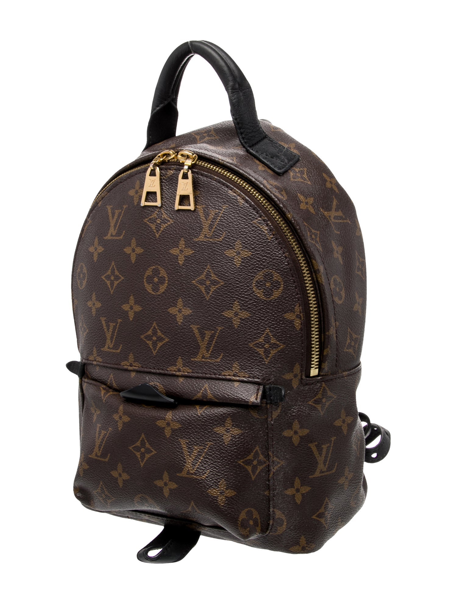 Louis Vuitton LV Monogram Palm Springs