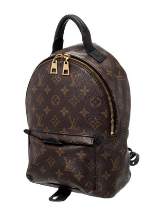 Louis Vuitton LV Monogram Palm Springs