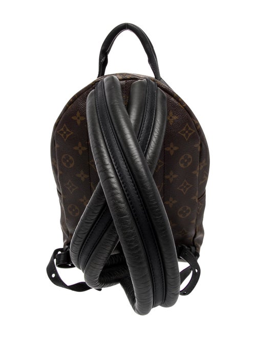 Louis Vuitton LV Monogram Palm Springs