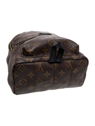 Louis Vuitton LV Monogram Palm Springs