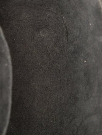 Louis Vuitton LV Monogram Vanity PM