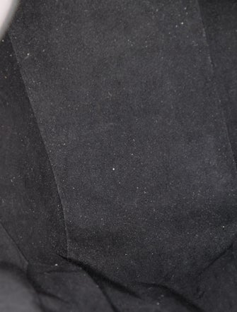 Louis Vuitton LV Monogram Gaia