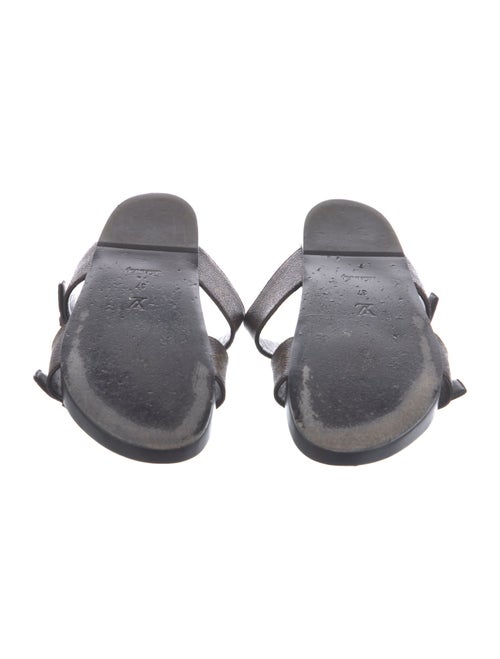 Louis Vuitton 2020 LV Monogram Slides