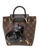 Louis Vuitton LV Monogram Montsouris BB