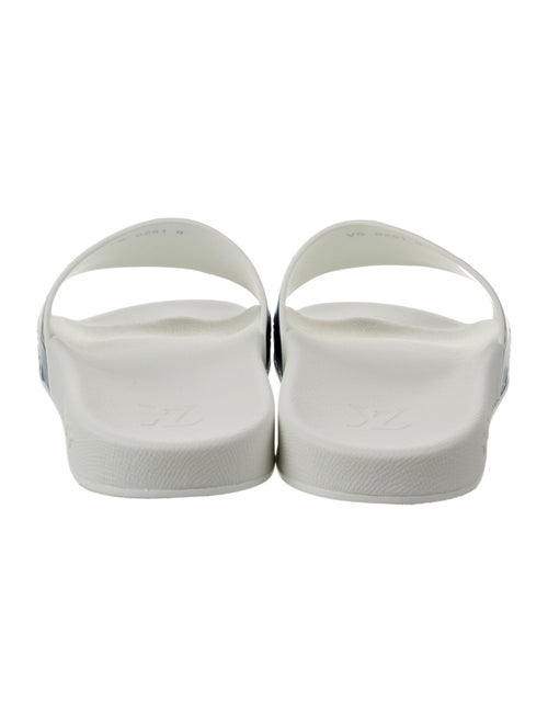 Louis Vuitton 2021 LV Monogram Slides