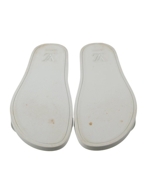 Louis Vuitton 2021 LV Monogram Slides