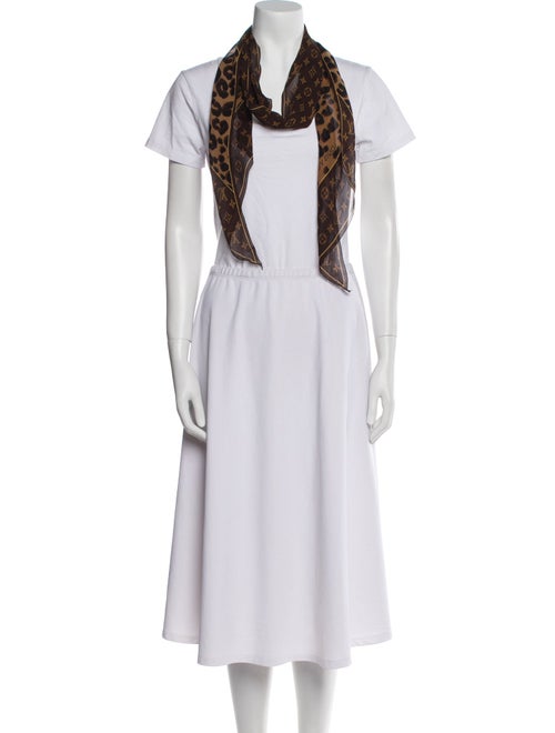 Louis Vuitton Printed Scarf