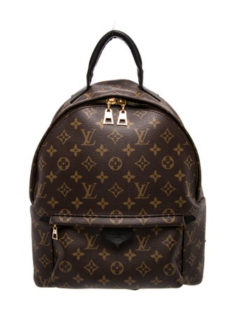 Louis Vuitton LV Monogram Palm Springs MM