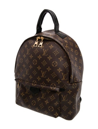 Louis Vuitton LV Monogram Palm Springs MM