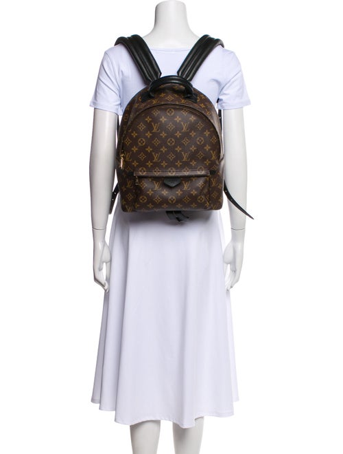 Louis Vuitton LV Monogram Palm Springs MM