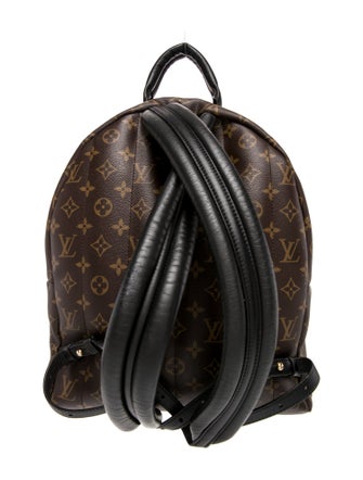 Louis Vuitton LV Monogram Palm Springs MM