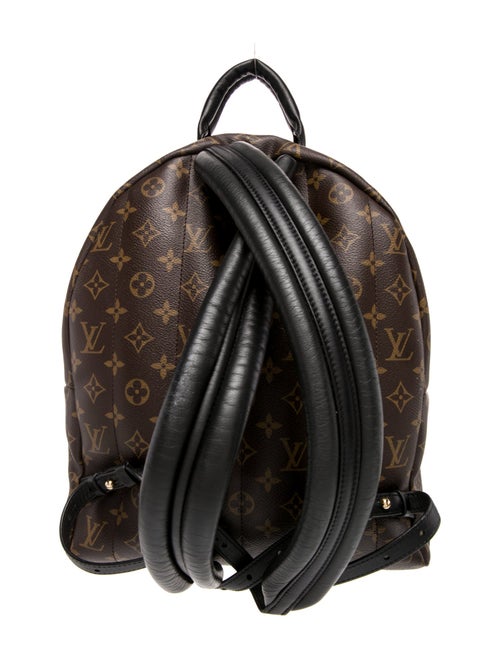 Louis Vuitton LV Monogram Palm Springs MM