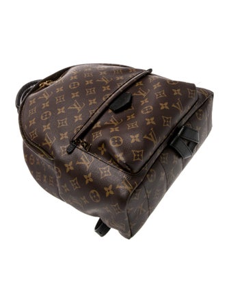 Louis Vuitton LV Monogram Palm Springs MM