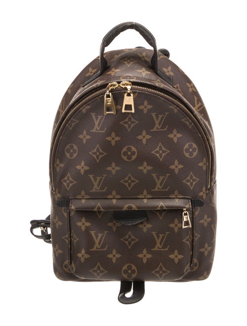 Louis Vuitton LV Monogram Palm Springs PM