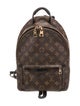 Louis Vuitton LV Monogram Palm Springs PM