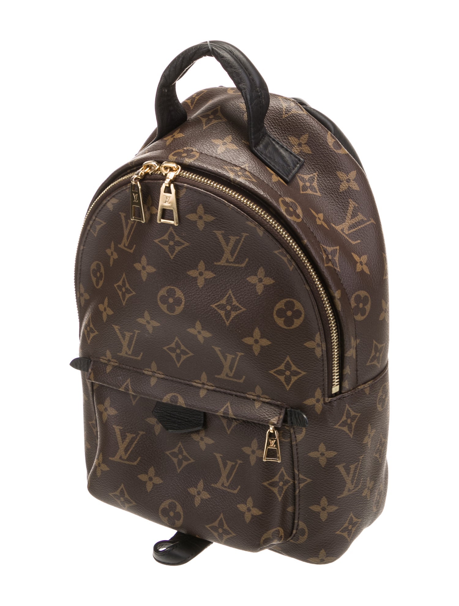 Louis Vuitton LV Monogram Palm Springs PM