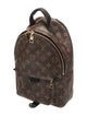 Louis Vuitton LV Monogram Palm Springs PM