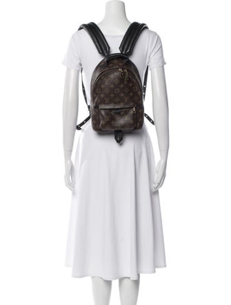 Louis Vuitton LV Monogram Palm Springs PM