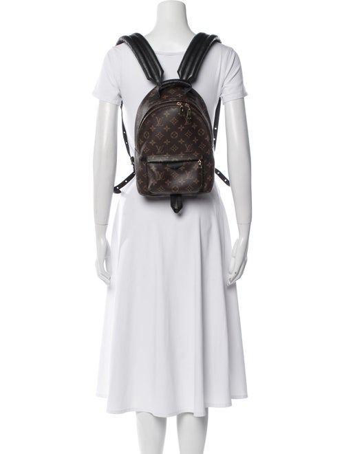 Louis Vuitton LV Monogram Palm Springs PM