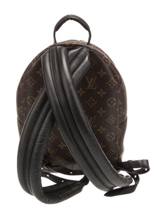 Louis Vuitton LV Monogram Palm Springs PM