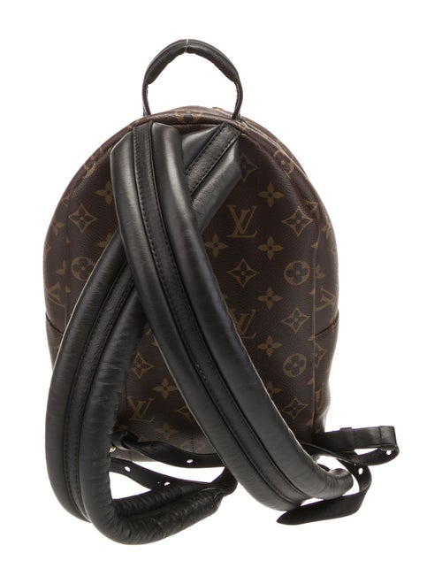Louis Vuitton LV Monogram Palm Springs PM