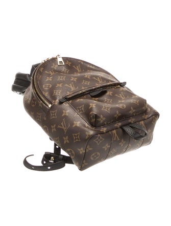 Louis Vuitton LV Monogram Palm Springs PM