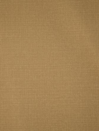 Louis Vuitton LV Monogram Evasion