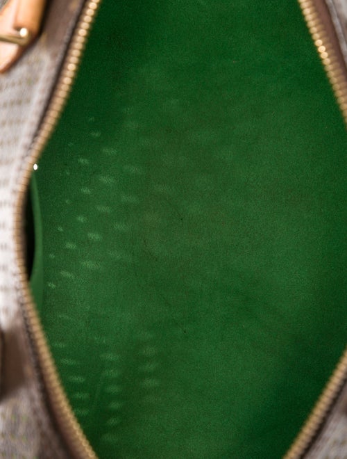 Louis Vuitton LV Monogram Speedy 30