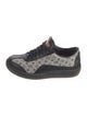 Louis Vuitton LV Monogram Canvas Sneakers