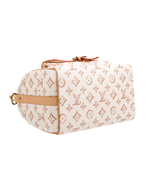 Louis Vuitton LV Monogram Speedy Bandouliere 25