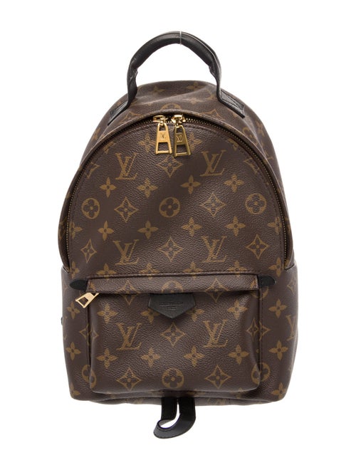 Louis Vuitton Monogram Palm Springs PM