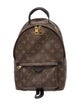 Louis Vuitton Monogram Palm Springs PM