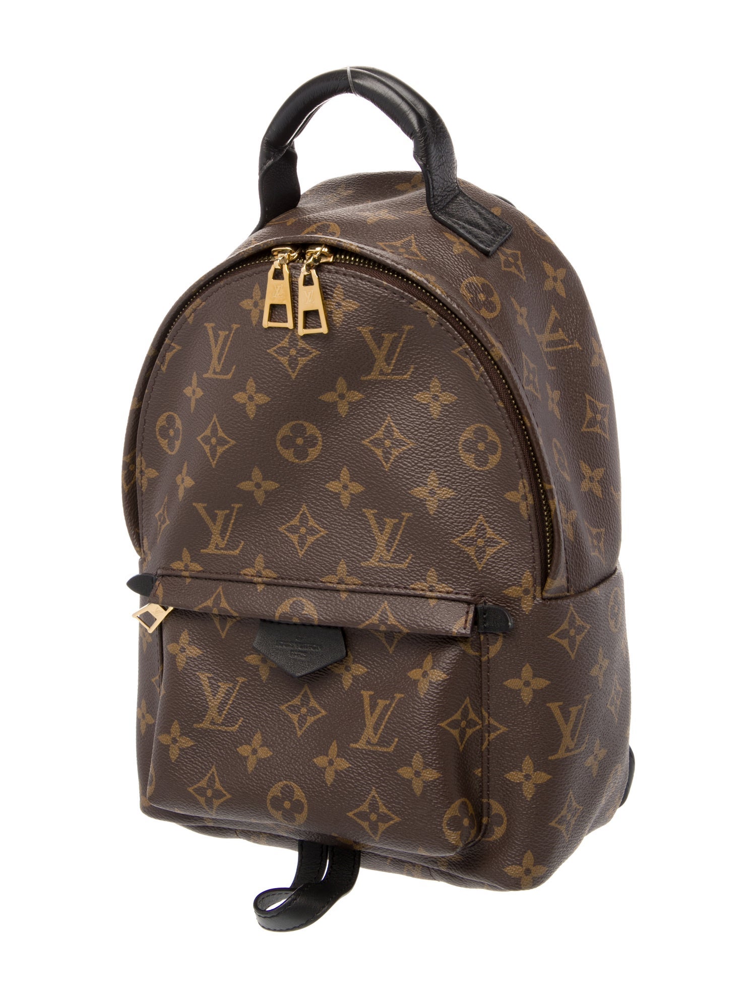 Louis Vuitton Monogram Palm Springs PM
