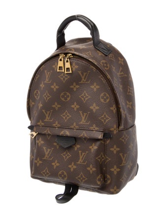 Louis Vuitton Monogram Palm Springs PM