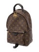 Louis Vuitton Monogram Palm Springs PM